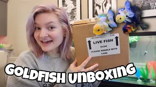 Unboxing TWO New Fancy Goldfish + Fish Updates 🐟✨