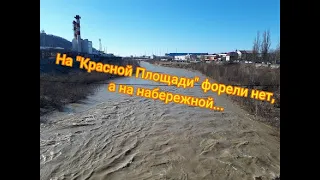 Туапсе 10.02.2022 река, пляж, набережная: форель не везде.