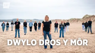 Dwylo Dros y Môr 2020 | Fideo Swyddogol | S4C