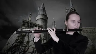 Harry Potter - Malfoy's Mission (Flute Cover)