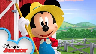 Mickey's Tricky Tractor! 🚜 | Mickey Mouse Hot Diggity Dog Tales | Disney Junior