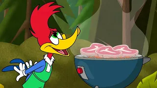 Is Woody a Vegetarian? | Woody Woodpecker