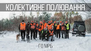 Полювання з дружніми КОЛЕКТИВАМИ МРБ.