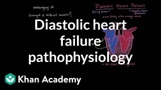 Diastolic heart failure pathophysiology | Circulatory System and Disease | NCLEX-RN | Khan Academy