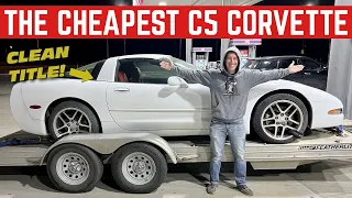 I BOUGHT The CHEAPEST Corvette In The USA That Runs And Drives *AGAIN*