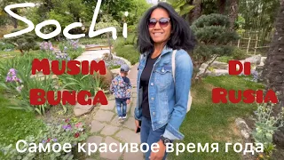 Самое красивое время года в Сочи! | Musim bunga di Rusia