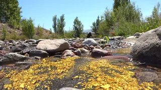 Golden River! These gold riches can be found in riverbed and under water.