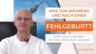 Was tun während & nach einer Fehlgeburt? – Tipps von Dr. med. Reinhard Hannen 👨‍⚕️ storchgeflüster.