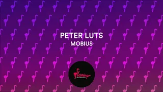 Peter Luts - Mobius (Flamingo Recordings)