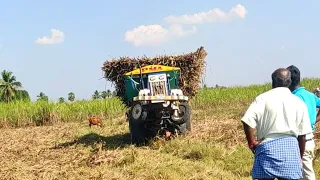 Swaraj 744 FE Tractor with fully loaded sugarcane trolley |Swaraj tractor power | Jcb | CTV