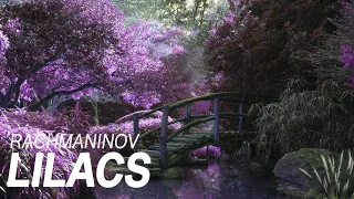 Rachmaninoff: Lilacs Op.21 No.5 | Rainy Piano Version by Leo Sestili