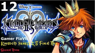Kingdom Hearts II.5: Final Mix (HD Remix) (Part 12: Pride Lands)