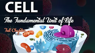 The Fundamental unit of life Full chapter (Animation) | Class 9 Biology  | CH 5 NCERT