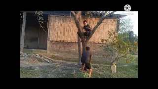 Must Watch New Funny Video 2022_Top New Comedy Video 2022_Funniest Fun Amazing videos HD FUN TV