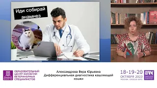 Дифференциальная диагностика кашляющей кошки. Вера Александрова