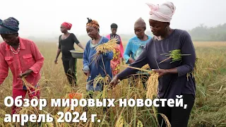 Обзор мировых новостей, апрель 2024 г.