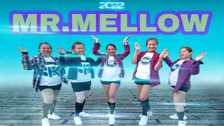 MR.MELLOW - DONT PLAY THE FIRE - Tiktok Viral Remix | Dance Fitness | Stepkrew Girls