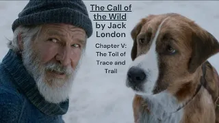 Chapter V: The Toil of Trace and Trail from The Call of the Wild