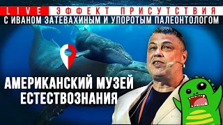 Иван Затевахин и Упоротый Палеонтолог в Американском Музее Естествознания. #Эффект_присутствия