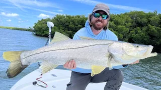 Why Every Angler Should Read "The Snook Book" (Snook Book Review)