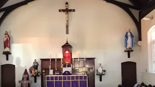 Live Traditional Latin Mass Sunday 19 February 2023 @St Anne’s - Quinquagesima Sunday,