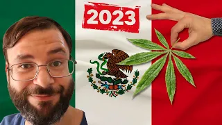 Cannabis is 100% Legal in Mexico 🇲🇽 What You Need to Know about Marijuana in Mexico | Weed in Mexico