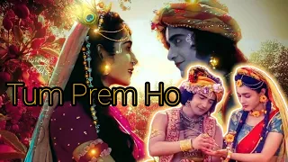 Radhakrishn❘ Tum Prem Ho Tum Preet Ho | Surya Raj Kamal | Happy Version.