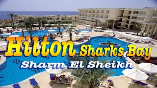 Hilton Sharks Bay Resort Sharm El Sheikh, Egypt 2021