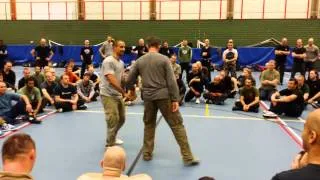 Vladimir Vasiliev Seminar in Amsterdam 2013