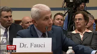 Dr. Anthony Fauci testifies on COVID-19 pandemic to lawmakers in Washington, D.C.