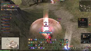 Lineage2 ID Castle siege 09/05/21 Sigel Shllien Noob (Or will it be the last of the WB?)