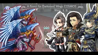 [DFFOO GLOBAL] A Feast for Darkened Wings COSMOS (Paine, WoL, Vayne)