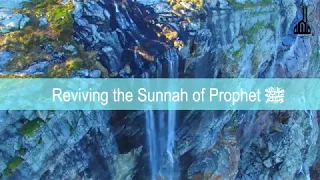 Reviving the Sunnah of Prophet Muhammad (PBUH)