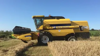 Cumbrian Harvest 2021. NH TC5060 combine plus classic and modern MF’s gathering spring barley.
