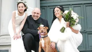 Best Amazing Wedding Surprise- Couple Surprised by Dog at the Wedding!- Emotional Moments