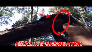 Amazing Sasquatch PART 2: Real Evidence...Real Intelligence...Incredible Strength