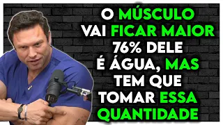 PORQUE TOMAR ÁGUA DURANTE O TREINO FAZ GANHAR MASSA MUSCULAR? | Paulo Muzy Cariani Ironberg