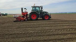 Fendt 516 & Kverneland Optima V 7 SX - sjetva suncokreta - planting sunflowers 2022.