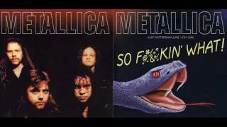 Metallica - Master of Puppets (Rotterdam De Kuip 12-06-1993)