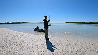 These Fish LOVE Shallow Water -  Winter vs Spring Redfishing