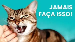 10 COISAS QUE VOCÊ JAMAIS DEVE FAZER COM SEU GATO