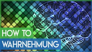 So geht Wahrnehmung! - Psychologie der Wahrnehmungsprozesse einfach erklärt!