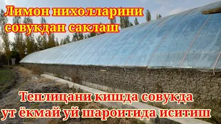 Кишда совукдан Лимон кучат саклаш. Теплицани уй шароитида иситиш