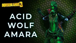 Borderlands 3 | Acidwolf Amara Build Spotlight | Level 72 Mayhem 11