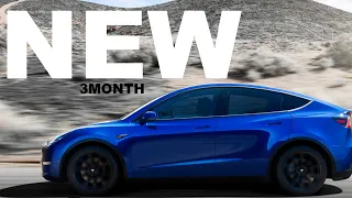 Tesla 3 Month Experience | 2023 Model Y Long Range