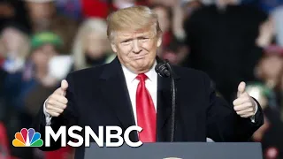 Michael Beschloss Fact Checks Donald Trump's Story On Lincoln And Grant | The 11th Hour | MSNBC