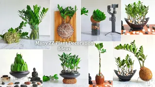8 Creative ZZ Plant Decoration Ideas for Your Living Room-ZZ Plant Indoor-Zanzibar Gem//GREEN PLANTS