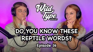 Explaining weird reptile words | Episode 16
