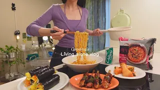 Living alone vlogㅣA day trip to Busan, Making kimbap, Cooking Soft tofu.