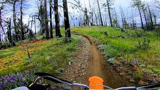 Stonyford OHV Goat Mountain Ride Down 2020 in 2.7k Mendocino National Forest